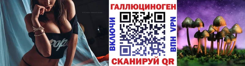 как найти наркотики  Мирный  Псилоцибиновые грибы мицелий 